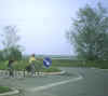 020599p.jpg (31583 byte)