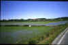 13.JPG (27609 byte)