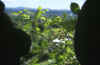 090700f.JPG (24071 byte)
