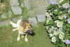 090700u.JPG (49139 byte)